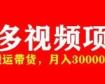 多多带货视频快速50爆款拿带货资格，搬运带货，月入30000【全套脚本+详细玩法】-逐风项目库