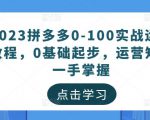 2023拼多多0-100实战运营教程，0基础起步，运营知识一手掌握-逐风项目库