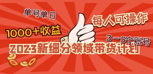 2023新细分领域带货计划：单号单日1000+收益不难，每人可操作3-5个账号-逐风项目库
