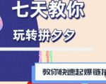 拼多多快速起爆链接思路1.0课程，七天教你玩转拼夕夕，教你快速起爆链接-逐风项目库