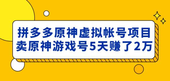 外面卖2980的拼多多原神虚拟帐号项目：卖原神游戏号5天赚了2万-逐风项目库