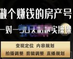 刘广标·同城房产号线上陪跑课，拍摄、剪辑、写文案、直播，做一个具有潜力价值的房产号-逐风项目库