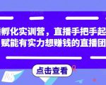 直播孵化实训营，直播手把手起号，赋能有实力想赚钱的直播团队-逐风项目库