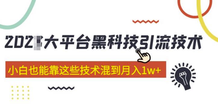 大平台黑科技引流技术，小白也能靠这些技术混到月入1w+(2022年的课程）-逐风项目库