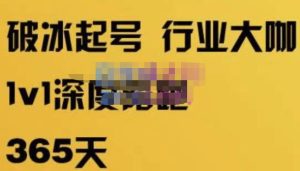 珍妮·短视频直播（定制）线上陪跑，平台逻辑及赛道选择、短视频数据分析技巧、直播三大核心等-逐风项目库