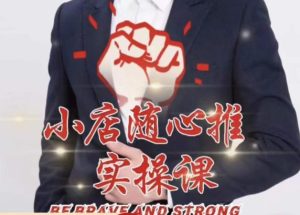 随心推线上课，小店随心推的投放逻辑，投放技巧，快速打标签-逐风项目库