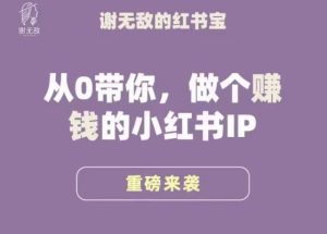 谢无敌·小红书运营大宝典，从0带你做个赚钱的小红书IP-逐风项目库