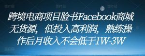 跨境电商项目脸书Facebook商城无货源，低投入高利润，熟练操作后月收入不会低于1W-3W-逐风项目库