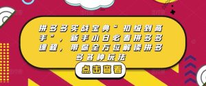 拼多多实战宝典“初级到高手”，新手小白必看拼多多课程，带你全方位解读拼多多各种玩法-逐风项目库