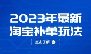 2023年最新淘宝补单玩法，18节课让教你快速起新品，安全不降权-逐风项目库