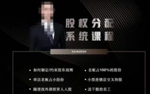 韩老师聊美业-美业股权分配系统课程，如何制定约束股东规则+老板占100%的股份+单店老板占小股份等-逐风项目库