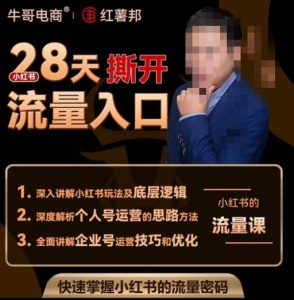 牛哥电商红薯邦28天撕开小红书流量入口，小红书运营系列课，快速掌握小红书的流量密码-逐风项目库