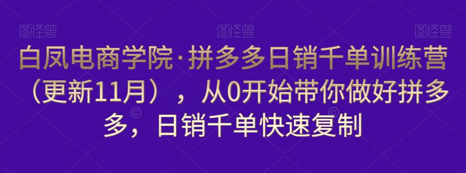 白凤电商学院·拼多多日销千单训练营，从0开始带你做好拼多多，日销千单快速复制（更新知2023年3月）-逐风项目库
