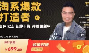 锋投老叶全店动销，淘系干货汇总，各种玩法，淘系爆款打造者-逐风项目库