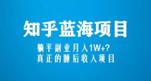 知乎蓝海玩法，躺平副业月入1W+，真正的睡后收入项目（6节视频课）-逐风项目库
