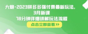 大炮·2023拼多多强付费最新玩法，3月新课​78分钟详细讲解玩法流程-逐风项目库