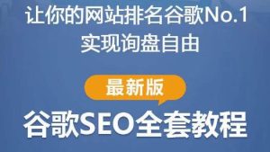 谷歌SEO实战教程：如何让你的网站在谷歌排名第一，内容从入门到高阶，适合个人及团队-逐风项目库