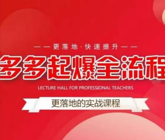 互力-多多新品打爆全流程，拼多多14天拉搜索自然流量，更落地·快速提升-逐风项目库