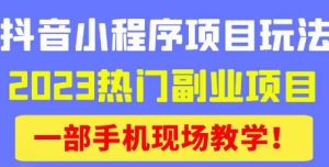 抖音小程序9.0新技巧，2023热门副业项目，动动手指轻松变现-逐风项目库