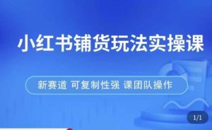 小红书铺货玩法实操课，流量大，竞争小，非常好做，新赛道，可复制性强，可团队操作-逐风项目库