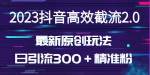 日引300＋创业粉，独家抖音高效截流2.0玩法（价值1280）-逐风项目库