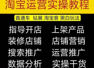 2023淘宝开店教程0基础到高级全套视频网店电商运营培训教学课程-逐风项目库