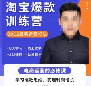 爱上黄昏·淘宝爆款训练营，2023最新运营打法，学习爆款思维，实现利润增长-逐风项目库