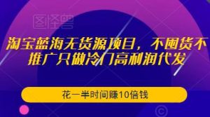 淘宝蓝海无货源项目，不囤货不推广只做冷门高利润代发，花一半时间赚10倍钱-逐风项目库