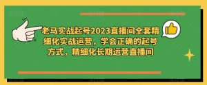 老马实战起号2023直播间全套精细化实战运营，学会正确的起号方式，精细化长期运营直播间-逐风项目库