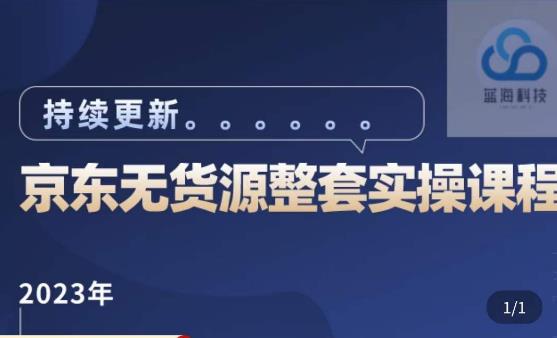蓝七·2023京东店群整套实操视频教程，京东无货源整套操作流程大总结，减少信息差，有效做店发展-逐风项目库