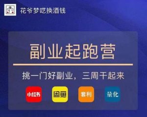 花爷-副业起跑营第2期，挑一门好副业，三周干起来（闲鱼｜小红书｜量化｜套利）-逐风项目库