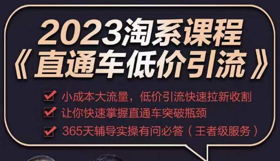 2023直通车低价引流玩法课程，小成本大流量，低价引流快速拉新收割，让你快速掌握直通车突破瓶颈-逐风项目库