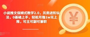 小说推文保姆式教学2.0，另类进阶玩法，0基础上手，轻松月撸1w无上限，可主可副可兼职-逐风项目库