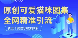 黑科技纯原创可爱猫咪图片，全网精准引流，实操5个VX号被加频繁-逐风项目库