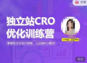 独立站CRO优化训练营，掌握独立站设计秘籍，打造高转化的独立站，让店铺ROI翻倍-逐风项目库