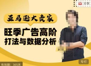 阿甘·亚马逊大卖家广告高阶打法与数据分析，走出传统广告误区；揭秘大卖惯用打法；数据驱动广告决策-逐风项目库