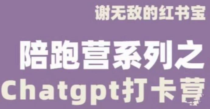 谢无敌ChatGPT打卡营，教你更好地使用ChatGPT来提高工作效率-逐风项目库