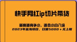 2023爆火的快手网红IP切片，号称日佣5000＋的蓝海项目，二驴的独家授权-逐风项目库