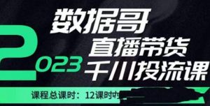 数据哥2023直播电商巨量千川付费投流实操课，快速掌握直播带货运营投放策略-逐风项目库