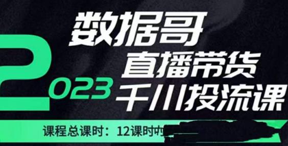 数据哥2023直播电商巨量千川付费投流实操课，快速掌握直播带货运营投放策略-逐风项目库