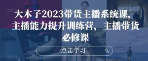 大木子2023带货主播系统课，主播能力提升训练营，主播带货必修课-逐风项目库