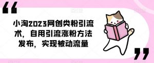 ​小淘2023网创类粉引流术，自用引流涨粉方法发布，实现被动流量-逐风项目库