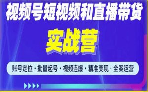 2023最新微信视频号引流和变现全套运营实战课程，小白也能玩转视频号短视频和直播运营-逐风项目库