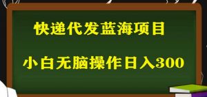 2023最新蓝海快递代发项目，小白零成本照抄也能日入300+-逐风项目库