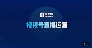 那个腾·视频号直播运营，​视频号直播推流逻辑/流量渠道解析/直播起号攻略/直播实操技巧-逐风项目库