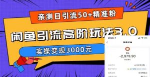 亲测日引50+精准粉，闲鱼引流高阶玩法3.0，实操变现3000元【揭秘】-逐风项目库