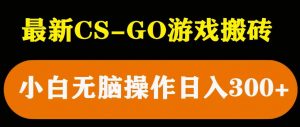 最新csgo游戏搬砖游戏，无需挂机小白无脑也能日入300+-逐风项目库