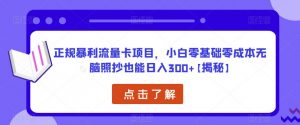 正规暴利流量卡项目，小白零基础零成本无脑照抄也能日入300+【揭秘】-逐风项目库