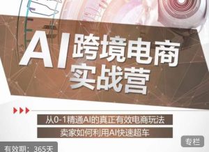 白龙老师·AI跨境电商实战营：从0-1精通Al的真正有效电商玩法，卖家如何利用Al快速超车-逐风项目库