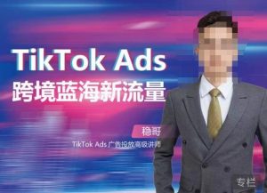 稳哥·如何投出高ROI的TikTok广告，开拓独立站卖家流量新蓝海-逐风项目库